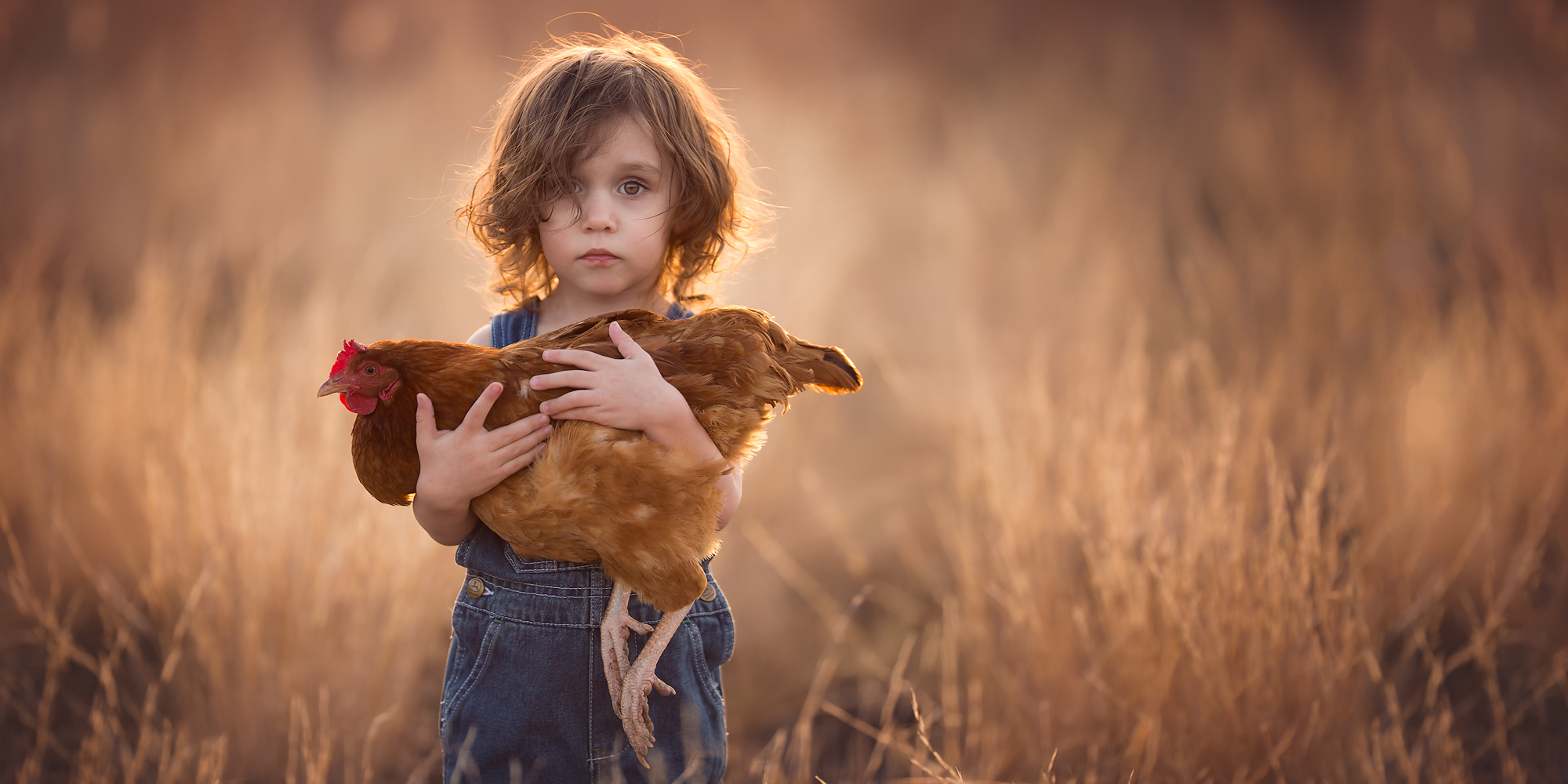 How to do amazing filtered light portrait photography? Easy tips for beautiful soft photos.