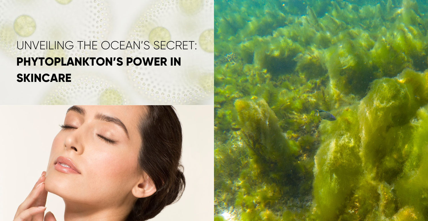 Unlock the power of the ocean: What types of algae helps with getting rid of wrinkles is revealed inside.