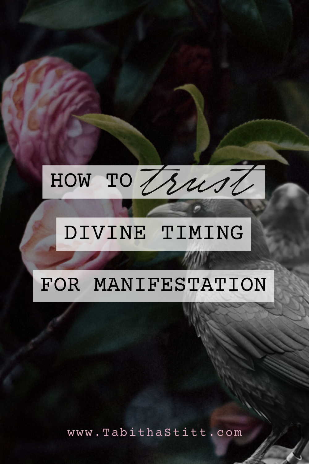 Divine Timing and Manifestation: Working Together