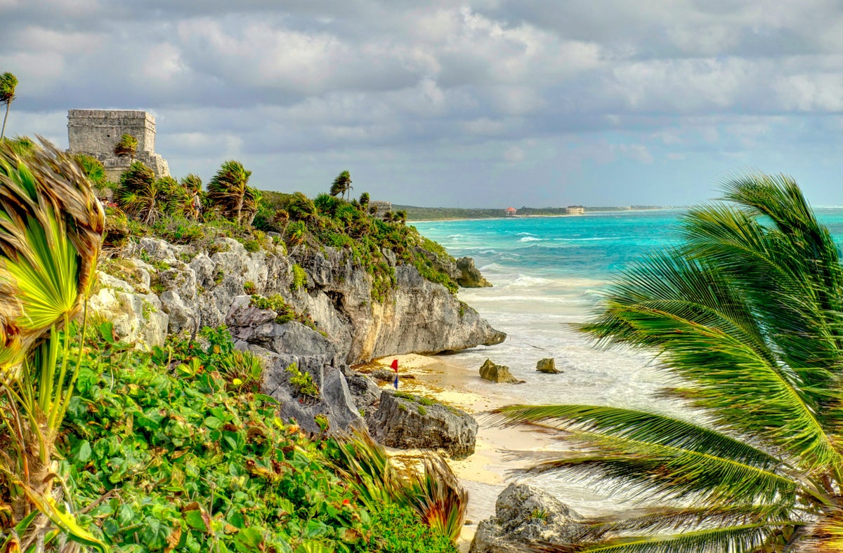 What are the best search engines for booking hotels in tropical destinations? Use these top sites to easily find amazing deals.