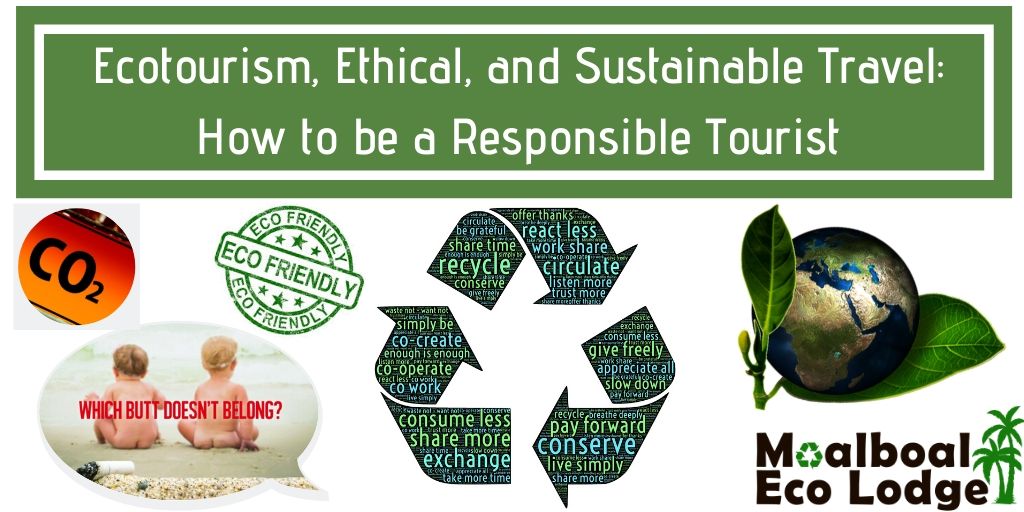 Eco-Friendly Travel: Booking Ethical Eco-Tours Tips
