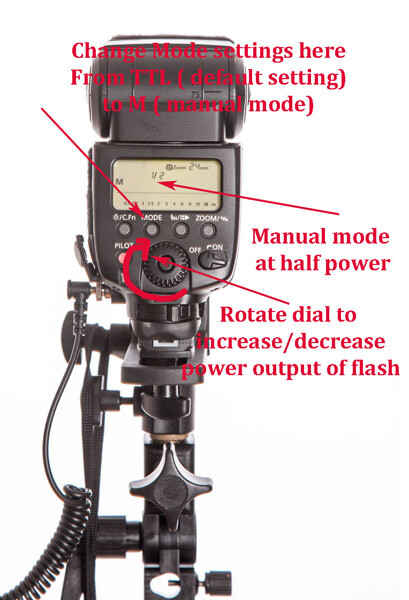 Easy Guide: How to Make Works Flash Actually Work