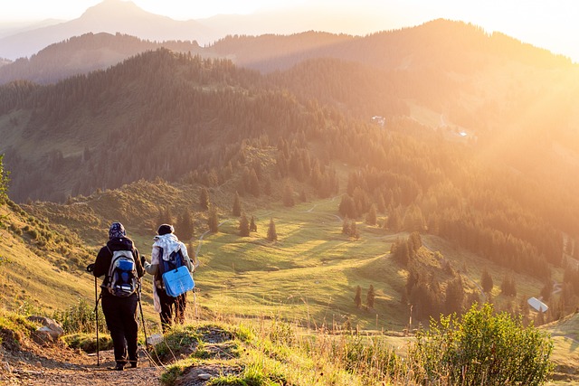 Looking for great Biodiversity-focused travel ideas? (Find inspiration for trips that support nature)