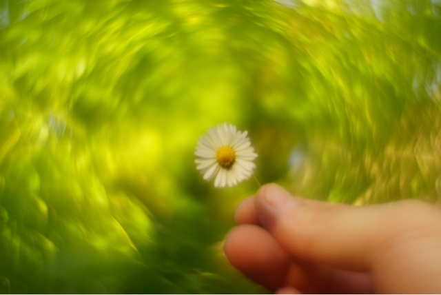 Trying to make swirling bokeh? Check out this quick guide now.