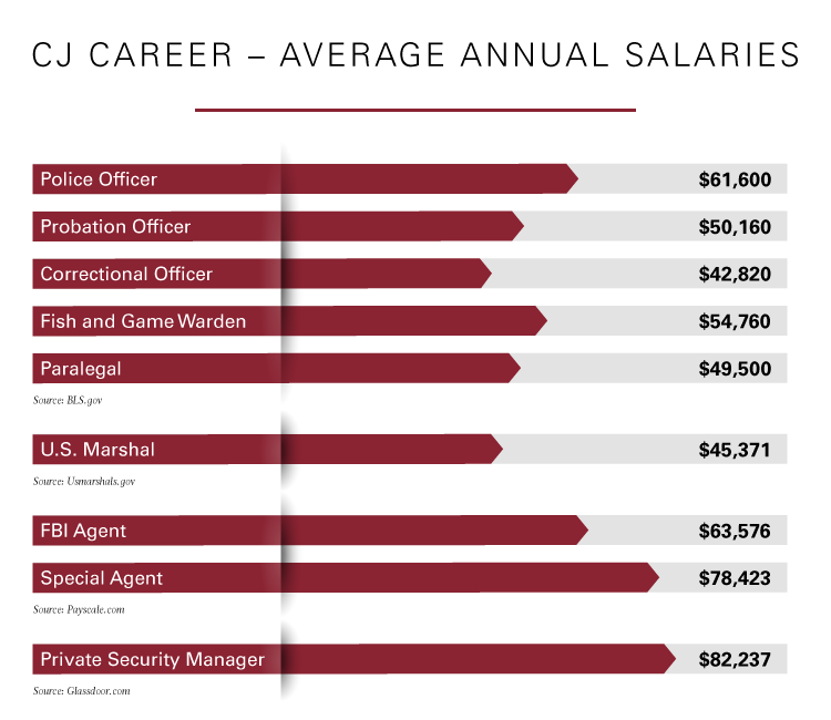 Undercover Cop Salary: How Much Money Do They Get?