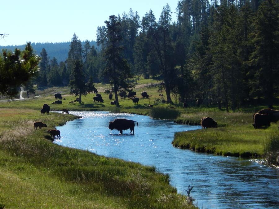 Nature Reserve Tours: Explore wild with us today!