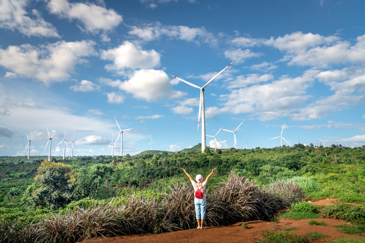 Conservation Travel Initiatives: Your Guide to Eco-Friendly Adventures