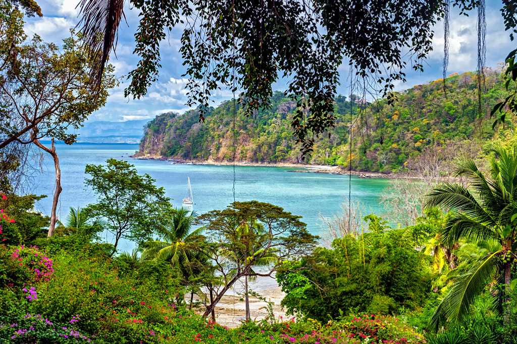 Looking for great Biodiversity-focused travel ideas? (Find inspiration for trips that support nature)