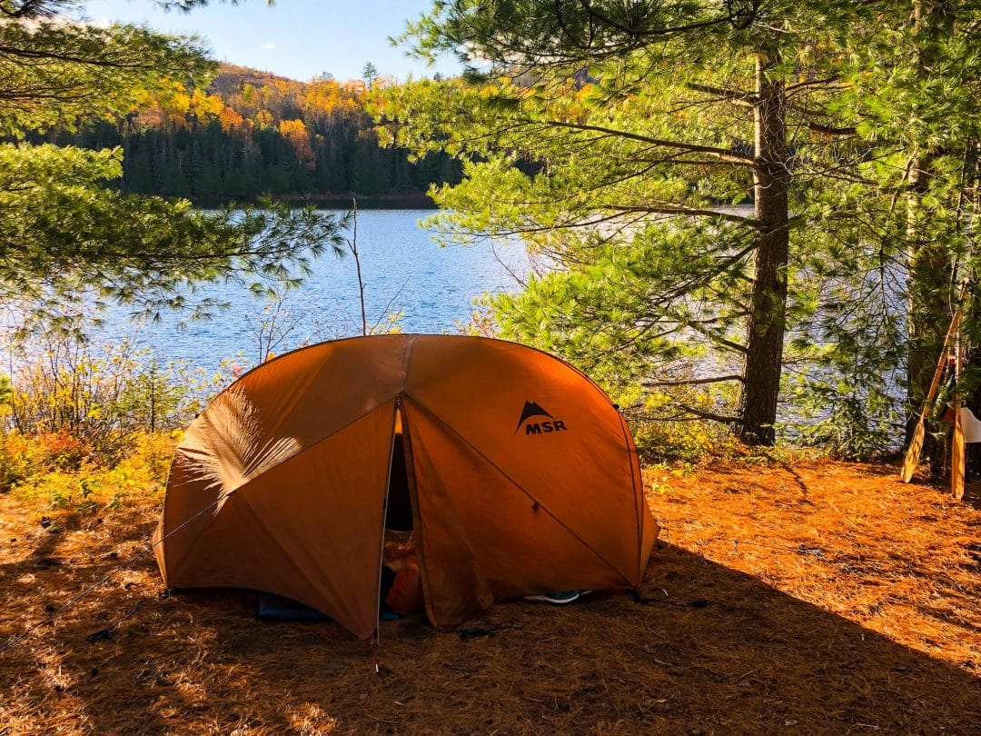 How can I practice eco-friendly camping (Easy tips to protect nature on your next adventure)