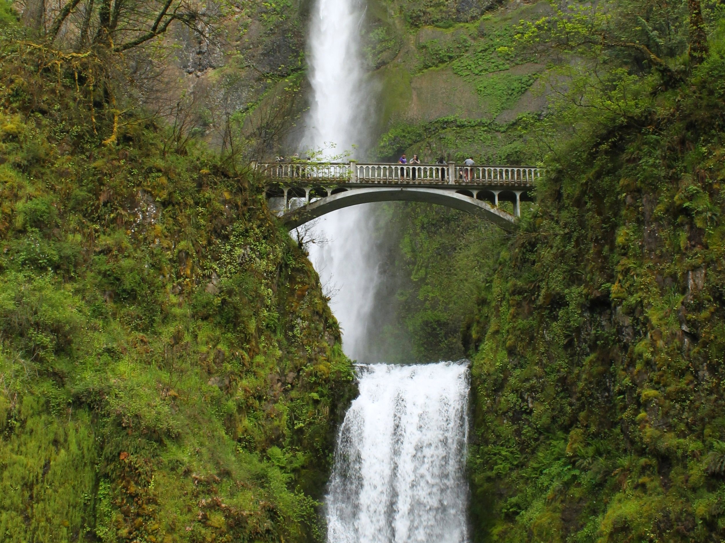 Easy Portland Oregon Day Trips: Get Ready For Adventure!