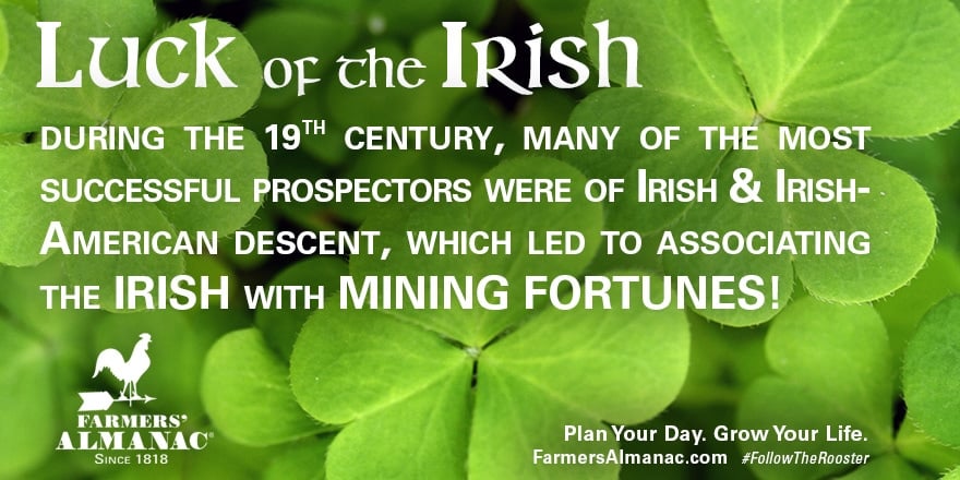 Are you lucky if you were born on St Patricks Day? Find out the real meaning now.
