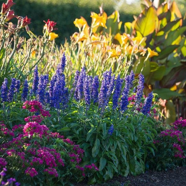 Confused about flower depth for different plants? This easy guide helps you plant perfectly every single time.