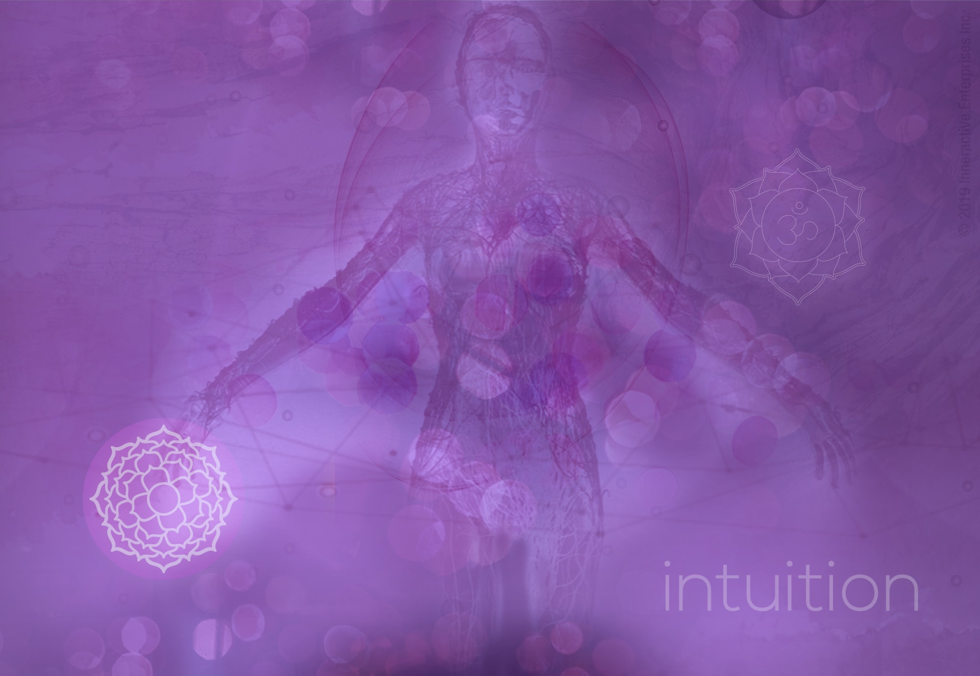 Seeing purple aura color meaning variations? Understand light versus dark violet shades.