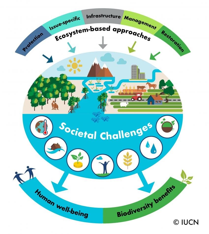 Nature-focused tourism experiences: What are the benefits?