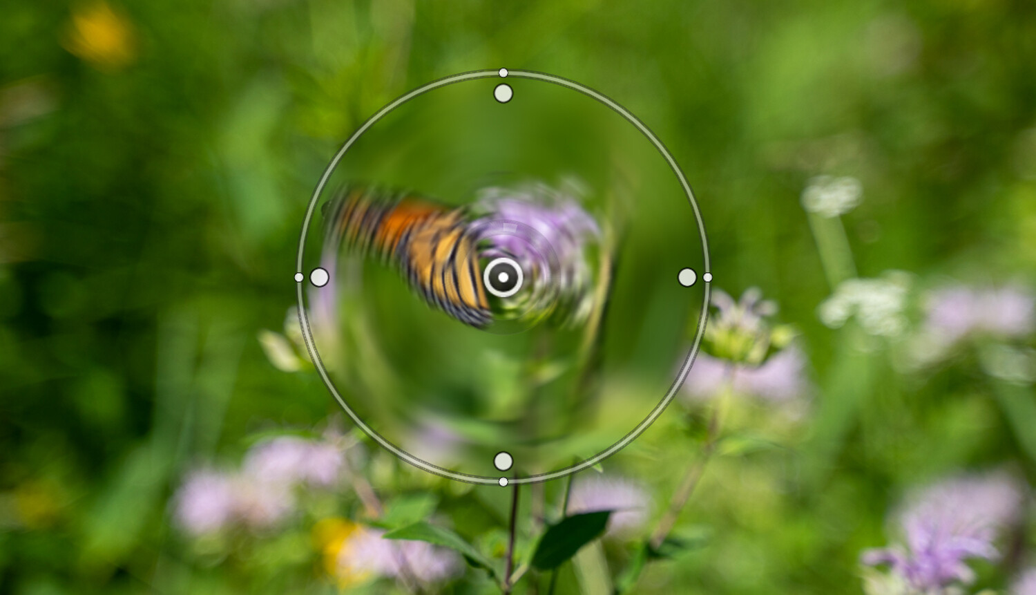 Trying to make swirling bokeh? Check out this quick guide now.