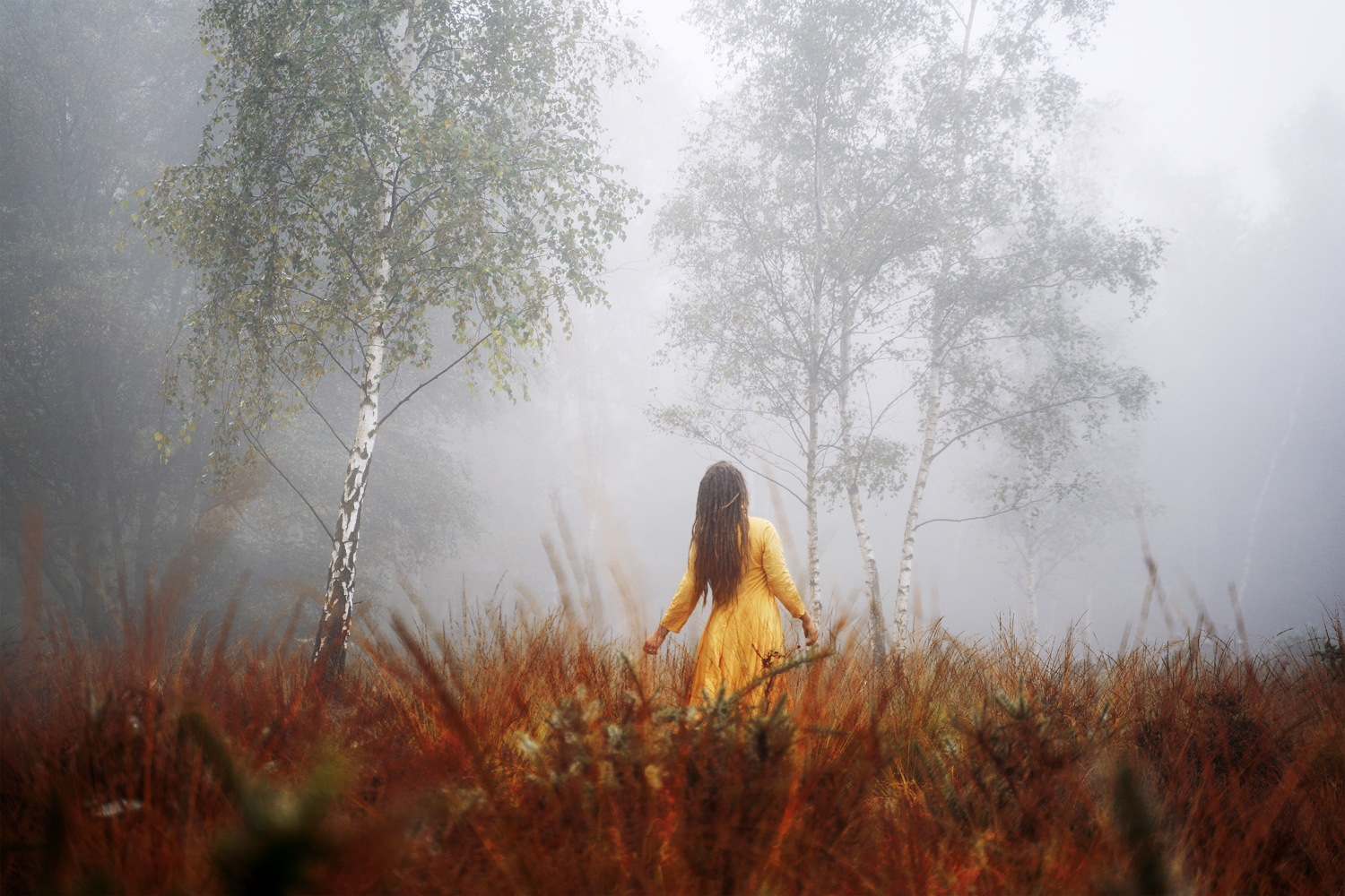 Stunning Value Examples Photography: See the Magic!