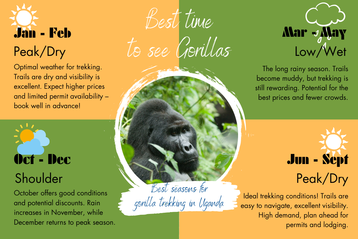 When is the ideal time to book Uganda holidays? Find out the best seasons for your travel plans.