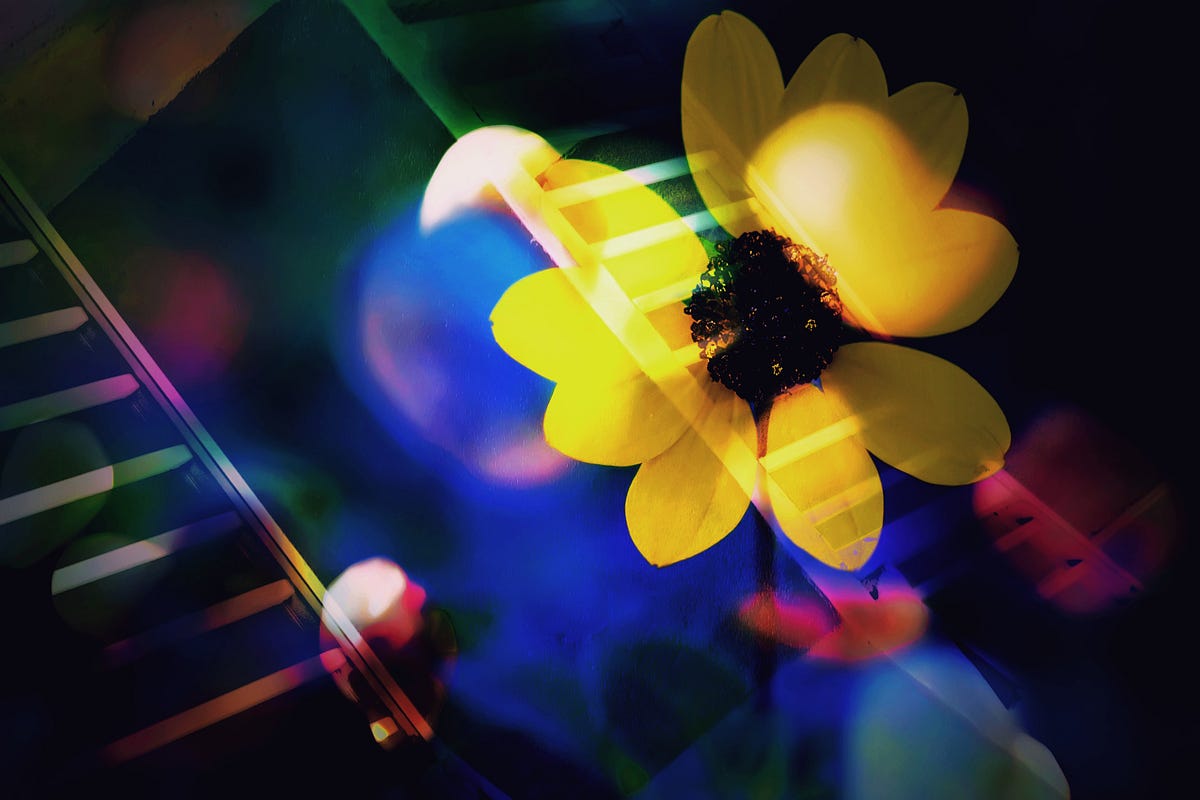 Why is the color yellow being used in a photo often so eye-catching? Discover the secrets behind its visual appeal.