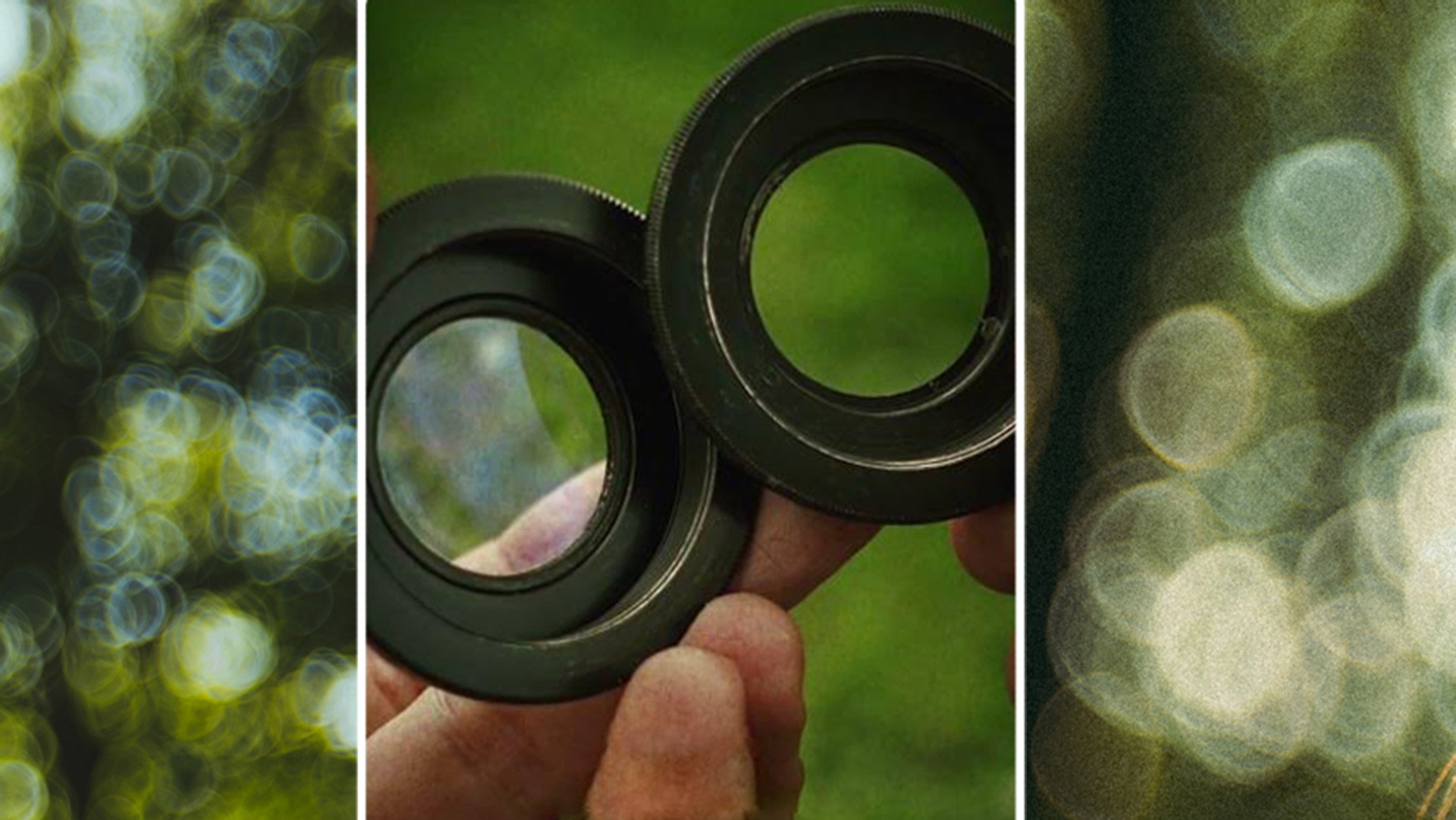 Why does the Helios lens create washing machine bokeh? Explore the special lens design behind the swirl effect.
