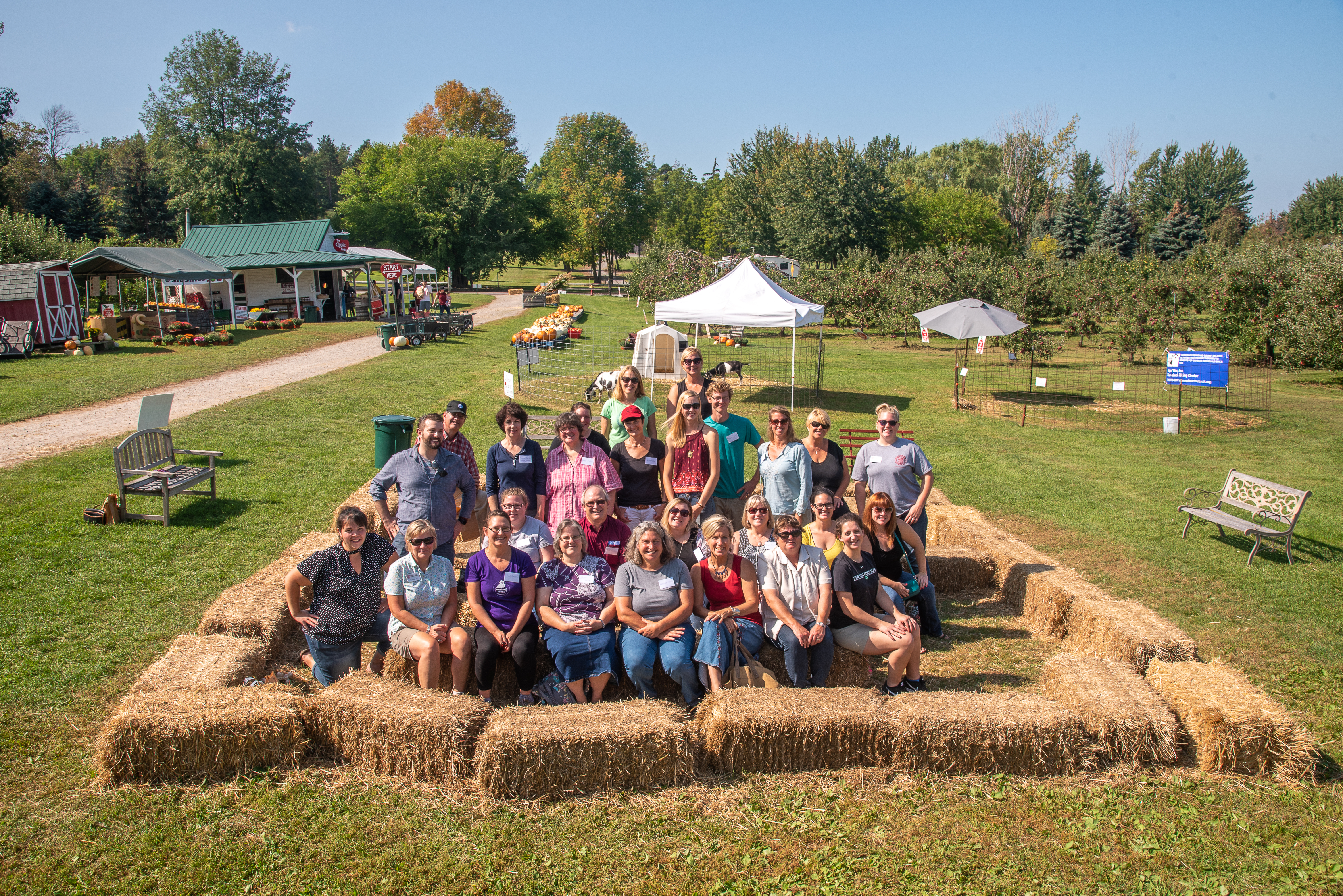 Planning your perfect Responsible farm tours adventure: What key factors ensure an ethical yet super fun visit?