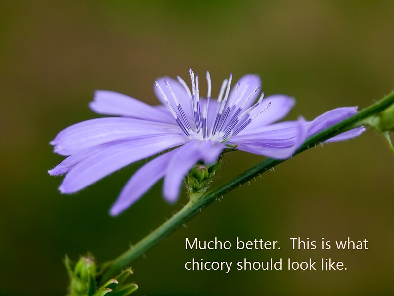 Why should you try photostyling purple? Make your photos really pop with this color.