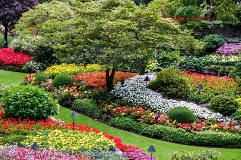 Confused about flower depth for different plants? This easy guide helps you plant perfectly every single time.