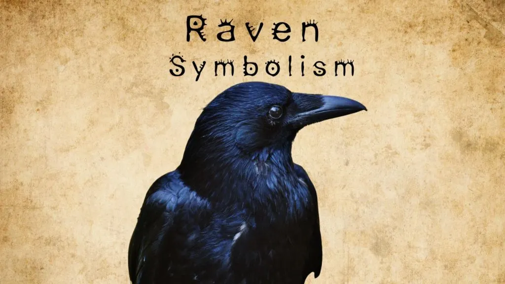 Decoding Raven Meaning: Symbolism Across Cultures Explained