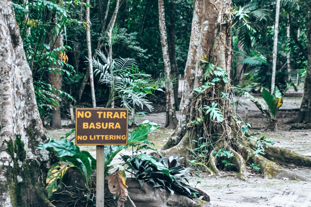 Avoid mistakes when you travel with minimal waste: Follow these tips for a truly sustainable journey.