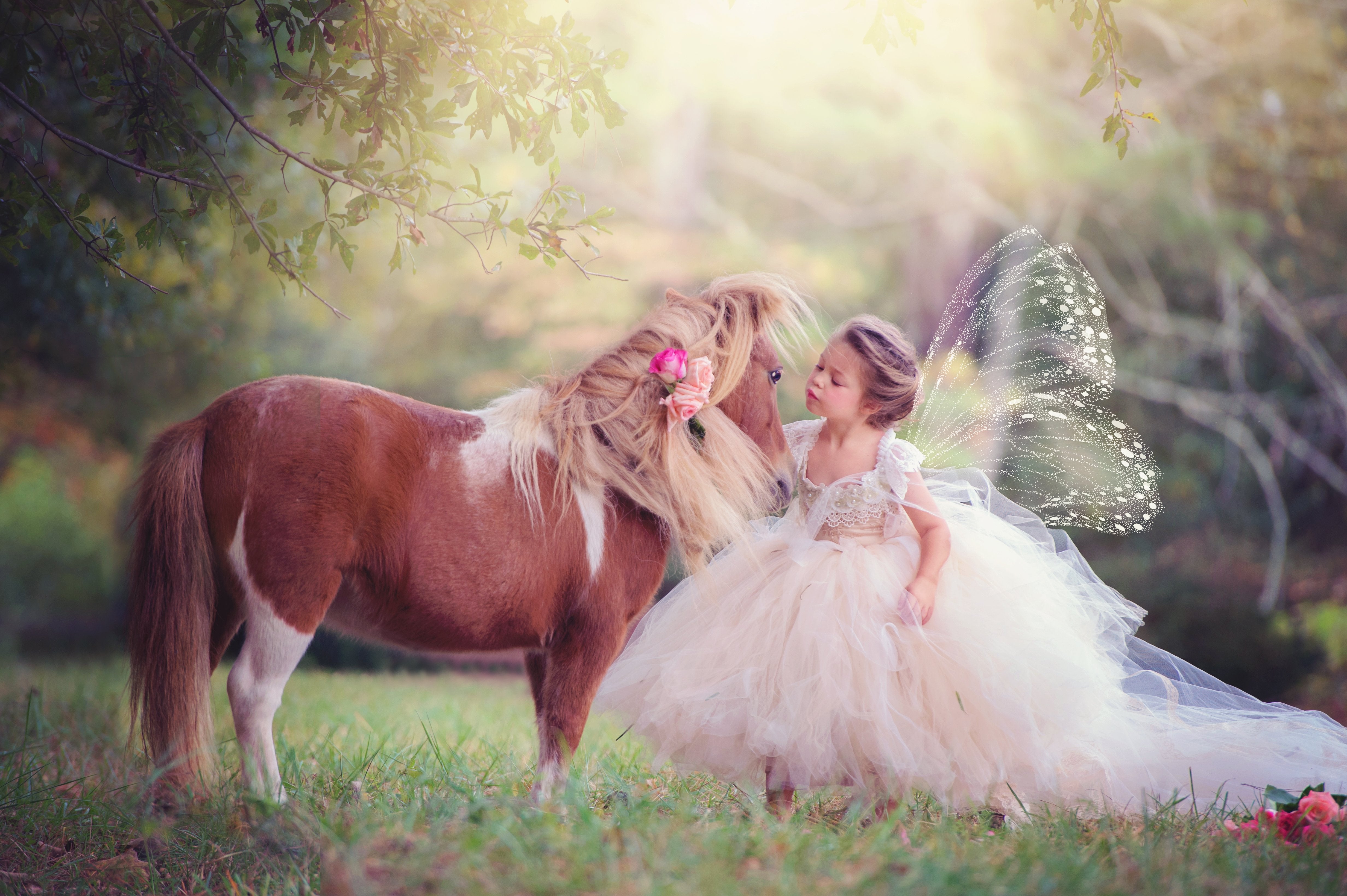 Stunning Value Examples Photography: See the Magic!