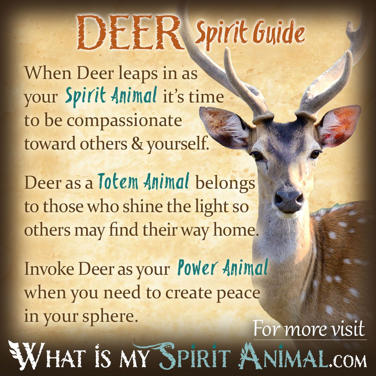 Seeing the deer spirit animal frequently? Discover the powerful symbolism and messages it holds for you.
