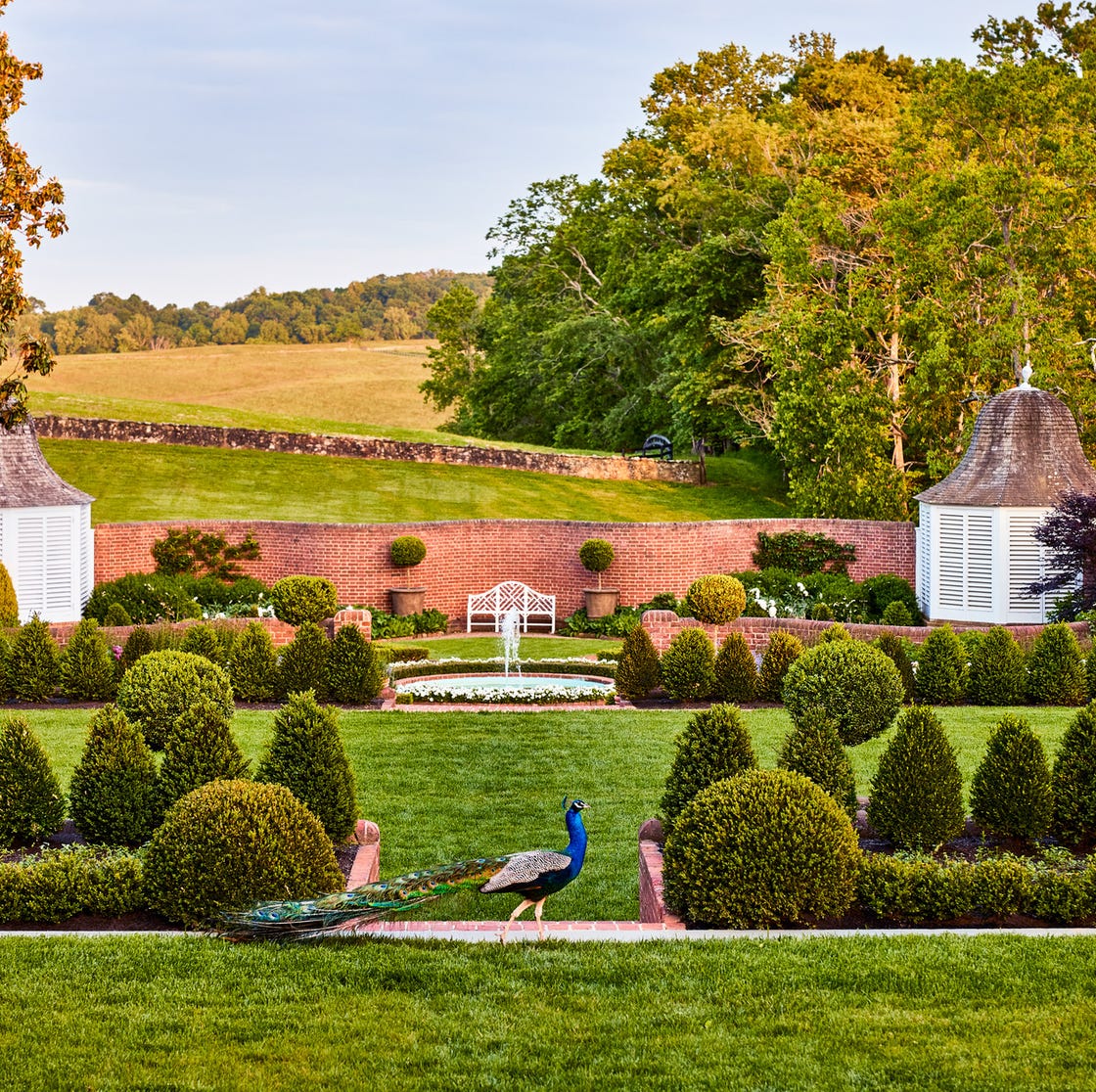 Get inspired by pictures of balance in landscape now!