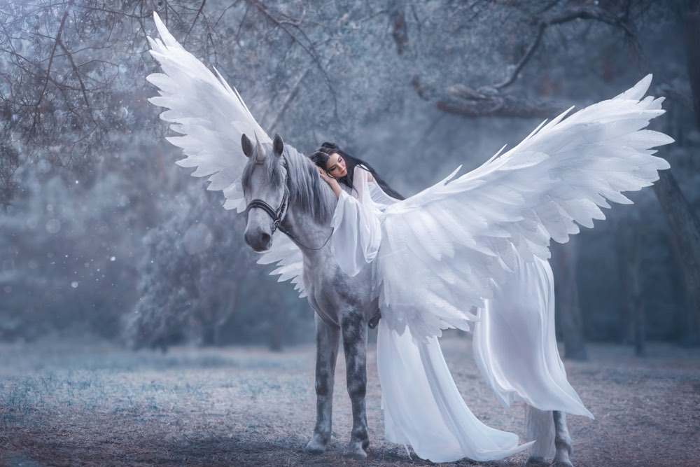 Stunning Value Examples Photography: See the Magic!