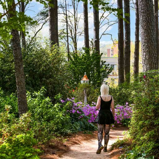 Want unique things to take pictures of outdoors? Capture these beautiful scenes on your next walk.