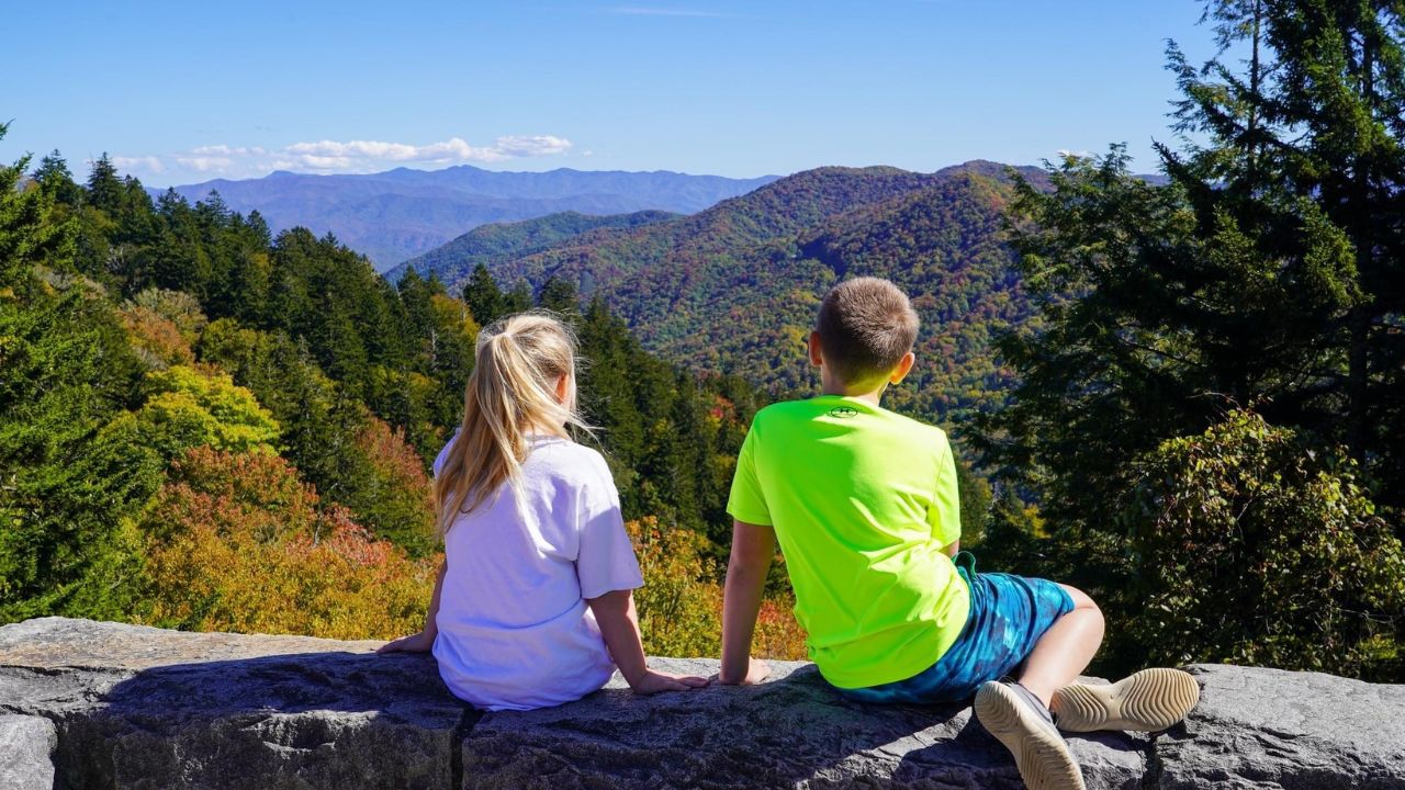Which Gatlinburg scenic overlook offers easy access? Check out these viewpoints perfect for families and quick stops!