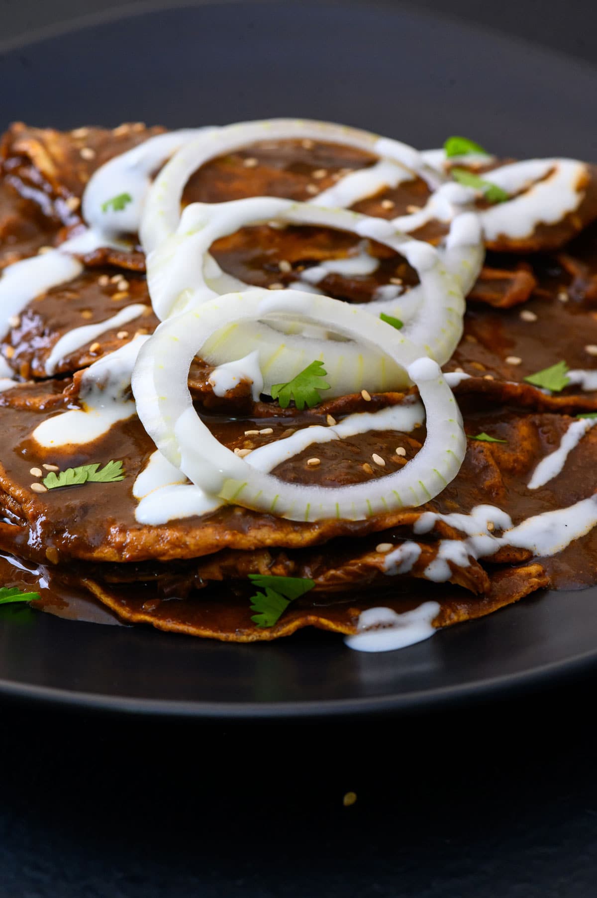 Enmolada Variations: Explore Different Mole Sauces