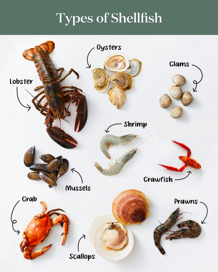 What are majariscos exactly? (Understand this unique seafood easily)