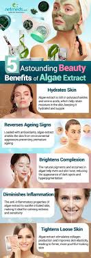 Learn what types of algae helps with getting rid of wrinkles effectively: Simple guide to natures best skin smoothers.