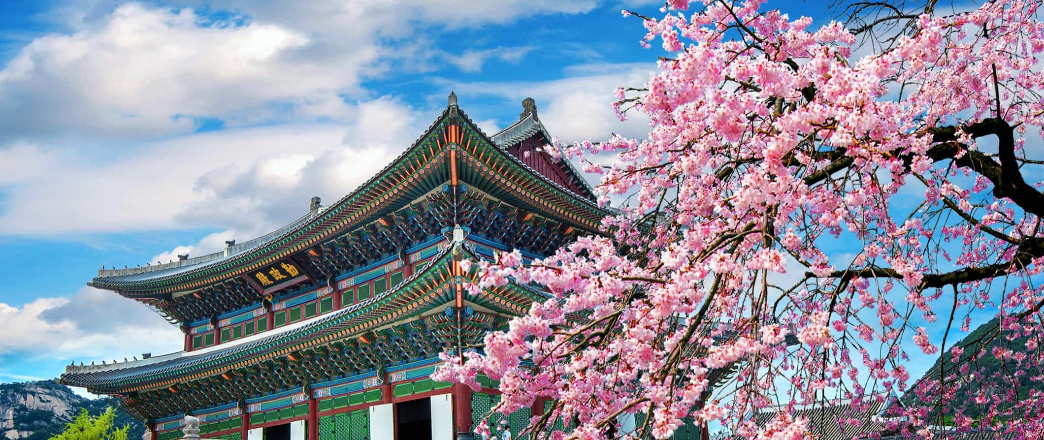 Is using a South Korea travel guide worth it? (See how it makes your vacation planning much easier)