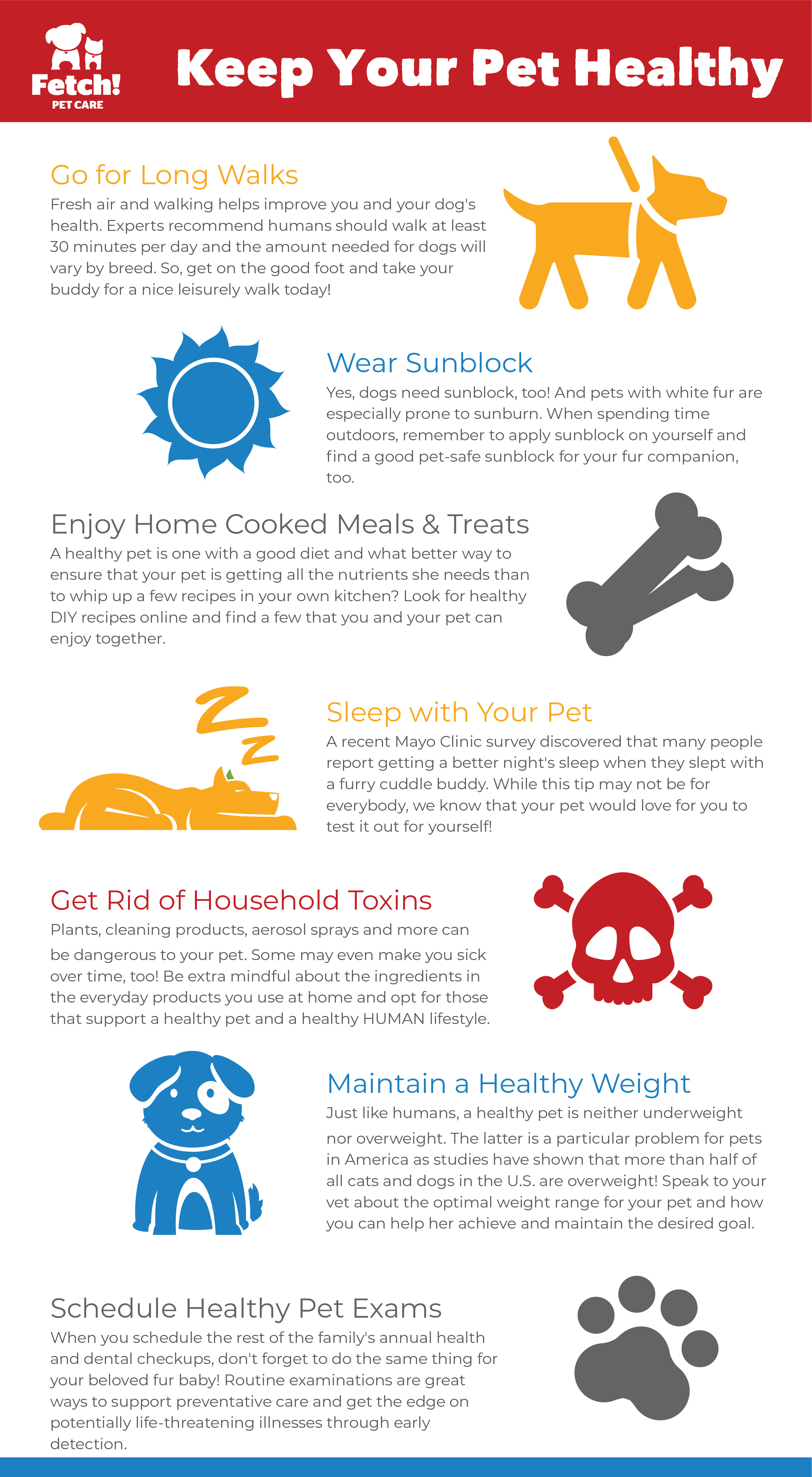 My Life Pet: Tips for a Happy and Healthy Life.