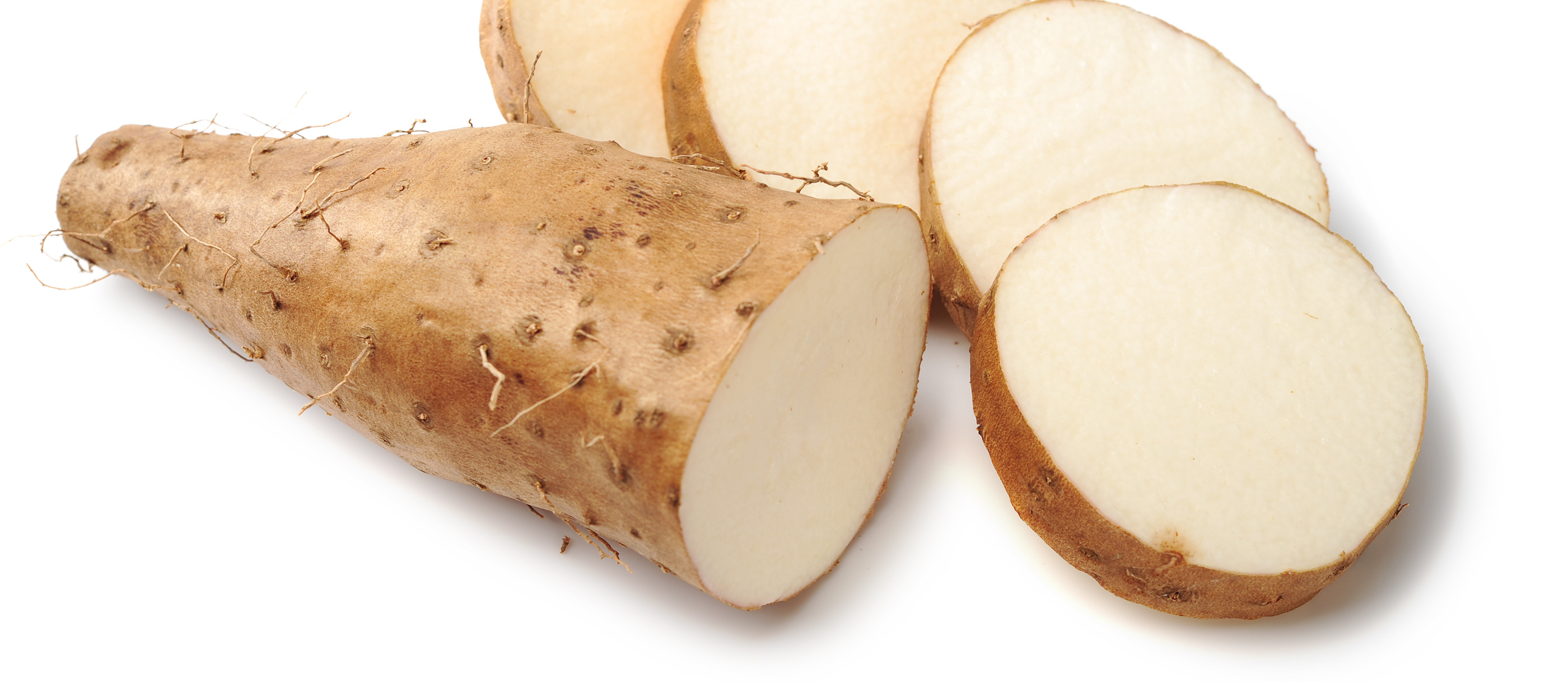 Where to Buy Asian Tuber? Find the Best Quality