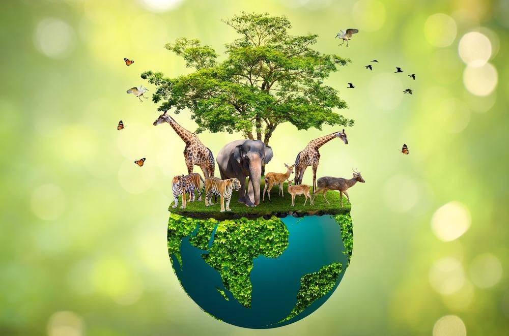 Wildlife habitat protection: Crucial efforts explained now!