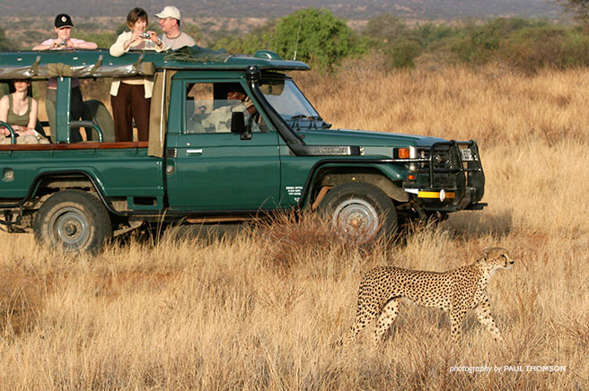 Eco-conscious safari travel: How to travel responsibly? (Simple tips to make your safari more eco-friendly)