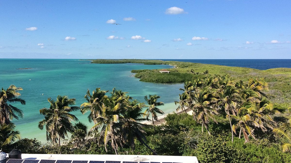 Is Taking a Day Tour to Isla Contoy National Park Really Worth It? See Exactly Why Visitors Absolutely Love This Paradise!