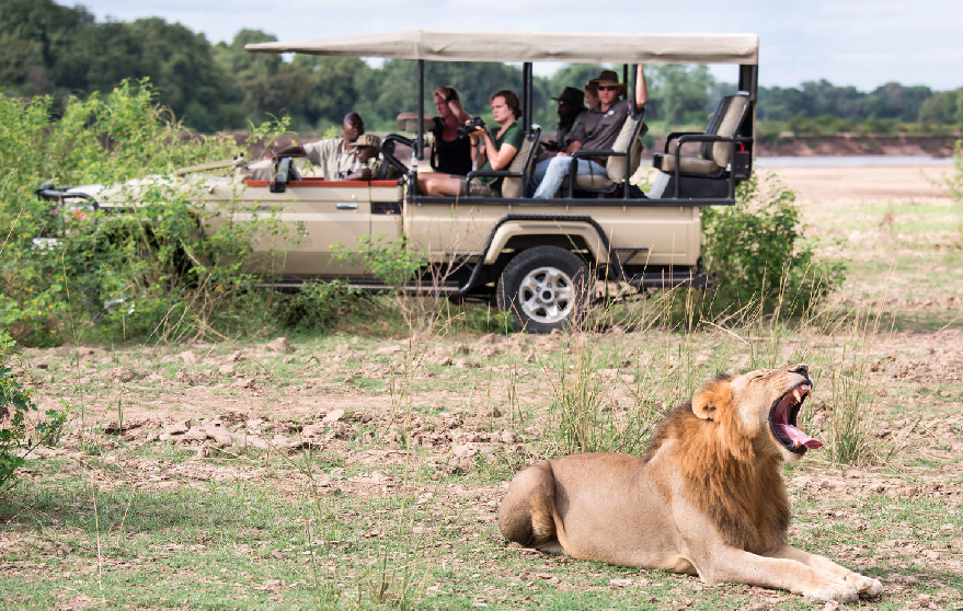 What are Green safari holidays really like? Understand how these trips support wildlife conservation and sustainable travel.