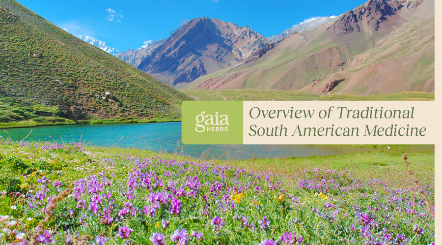Whats the best source of South American herbal eta? Simple tips for finding really good quality.