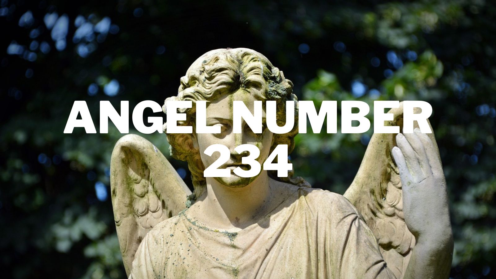 Unlock 311 angel number meaning (Discover what the universe is trying to communicate with you)
