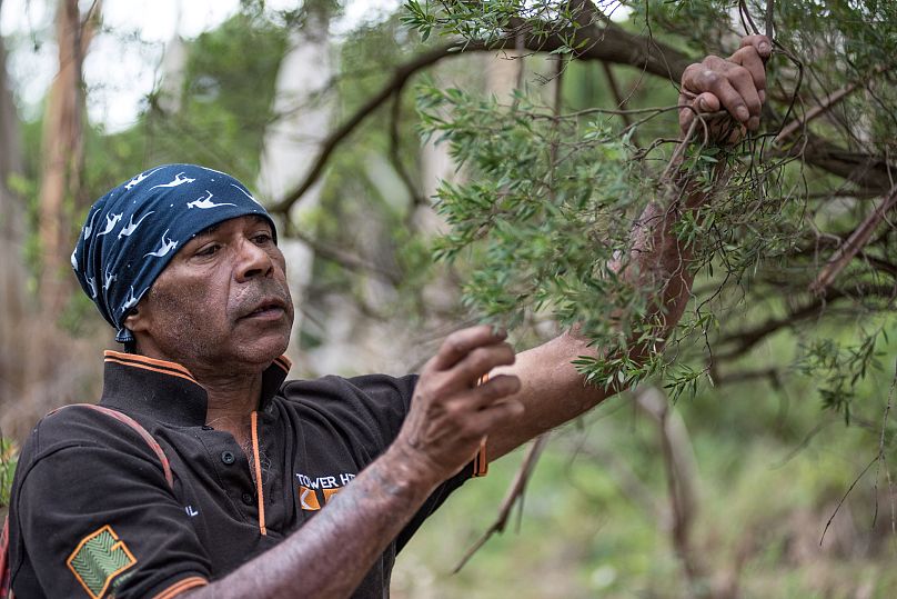 Want your travel money to make a difference? Find out about supporting indigenous-led tourism projects worldwide.