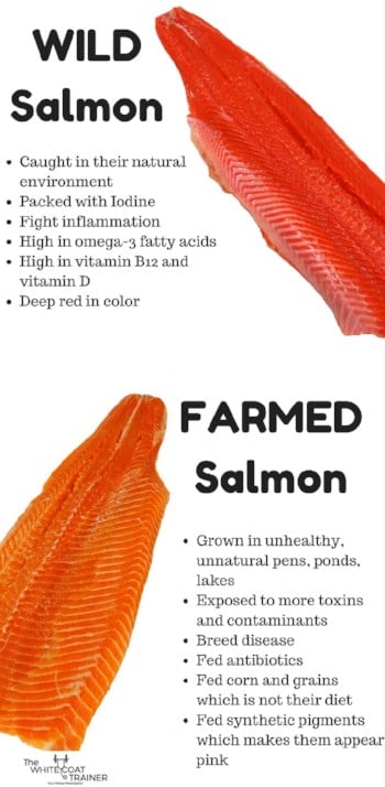 Is Farm Raised Salmon Good For You? Find Out The Truth About Its Health Benefits Today