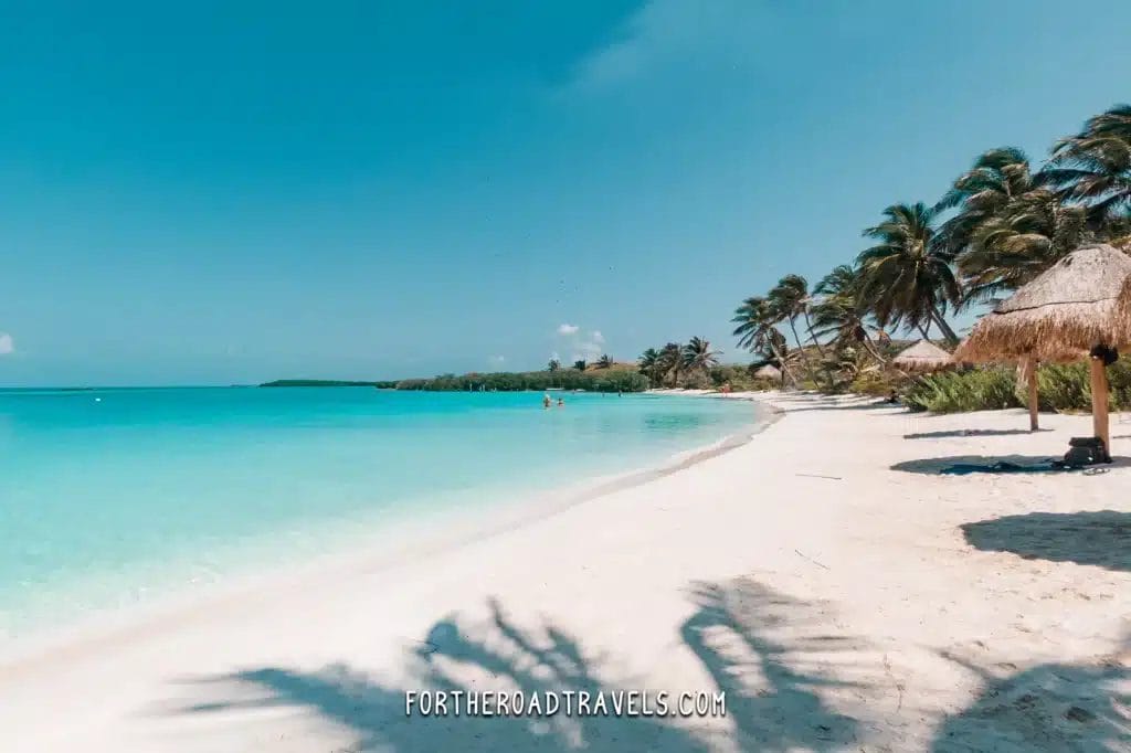 Is Taking a Day Tour to Isla Contoy National Park Really Worth It? See Exactly Why Visitors Absolutely Love This Paradise!