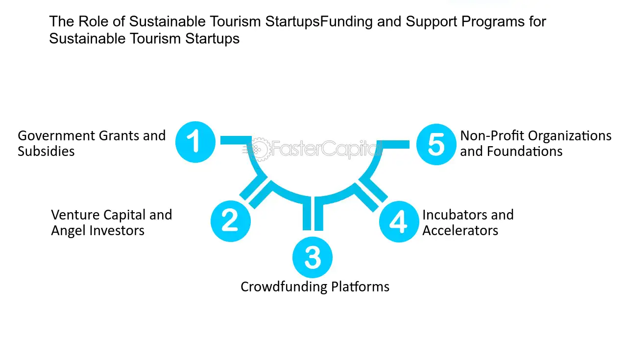 Supporting green travel startups: What does it take? Find out how you can truly help them grow strong.